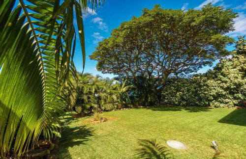 Walk Minutes to beach/Ocean views/with AC/Waimea Bay - Foto 4
