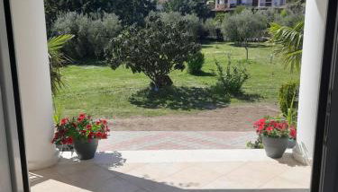 Bright New Garden - Photo 2