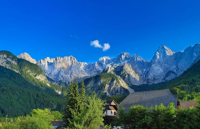 Villa Flora Apartments - Foto 74