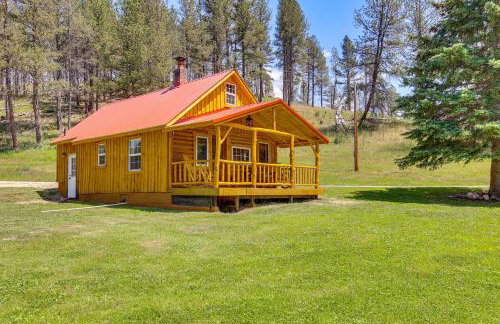 Remote Custer Cabin with Fire Pit and Near State Park! - Foto 1
