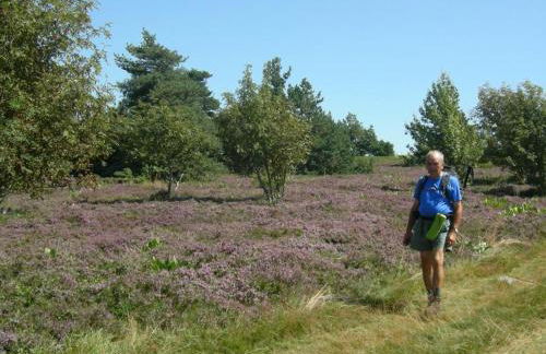 Gîte éco-responsable 6 pers. proche ski à Chalmazel - FR-1-496-98 - Foto 21