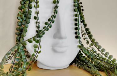 Yorkshire Glendale - Foto 6