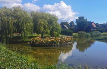 Ferienhaus-Elbdeichblick-Haselau - Foto 21