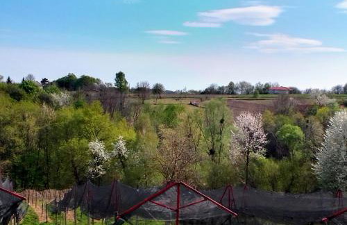 Studio apartman Šafarić - Foto 32