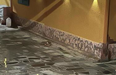 Villetta vista mare con piscina, giardino e parcheggio privato - Foto 31