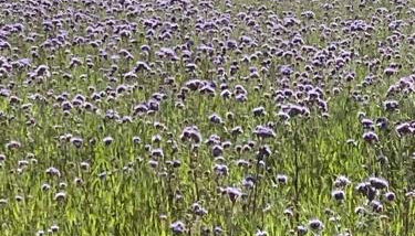 Appartement à l’étage indépendant - Foto 5