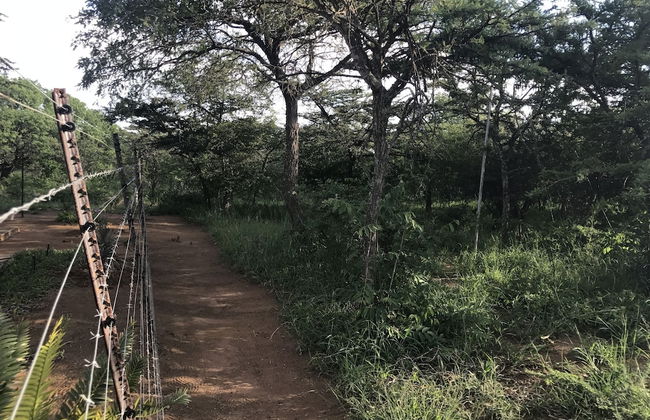 Our Place - Photo 34