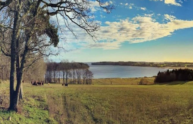 4 Person Holiday Home in Holbaek - Photo 13