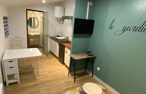 LE PATIO Studio-Terrasse Montbeliard-Centre - Foto 4