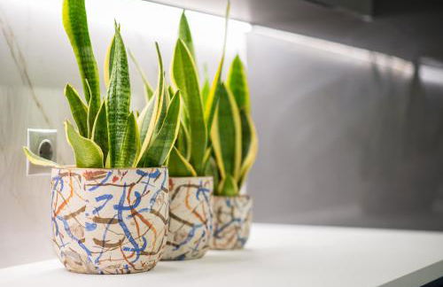 Palmyra Athens - Foto 20