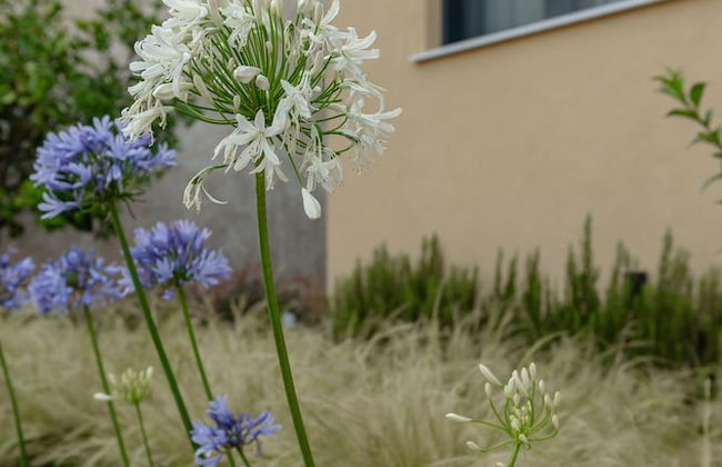 Galio Suites Airport by Airstay - Foto 69