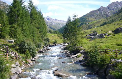 Almhaus Pfister OHG - Foto 70