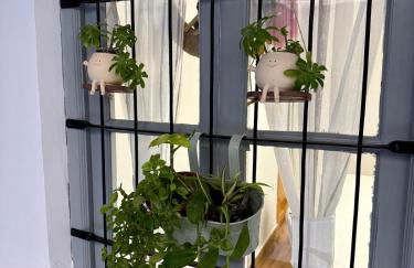 Vivienda rural el gobernador - Foto 17