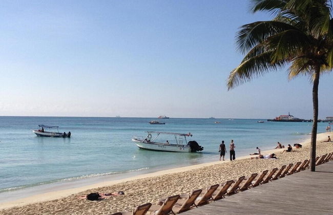 El Faro 403 SURF - Photo 33