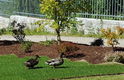 Masetto Egidio Eco-Agritur - Foto 78