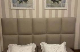 Hortênsiailedefrance - Foto 34