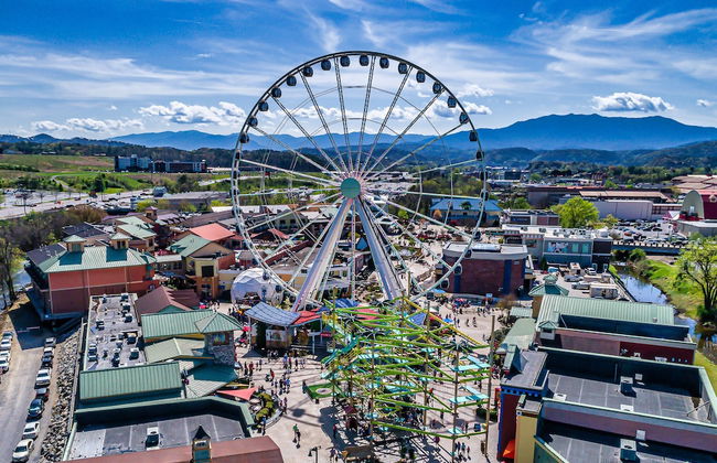 Bearly Gnomey - Foto 25