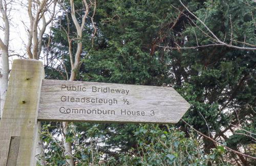 Cheviot Manor - Photo 63