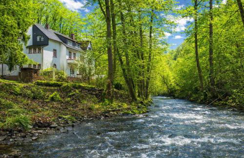 Wald Villa Üssbach - Foto 1