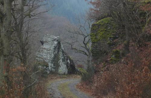 Holiday Home Moselle With Private Sauna - Foto 46