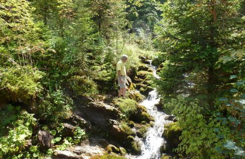 Les Fledd's - Foto 36