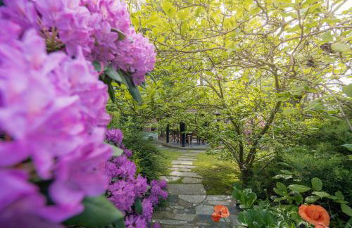 Black & White - Honey - Photo 21