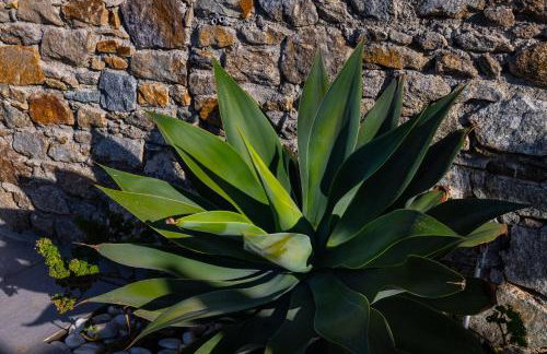 Villa Artemis (Agios Lazaros, Psarou) - Foto 65