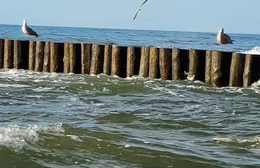 Amber Barn - Bursztynowa Stodoła - Noclegi u Loni - w zacisznym centrum nad morzem z parkingiem - Foto 63