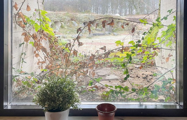 Picturesque Holiday Home in Hoor - Foto 11