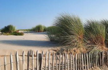 Maison sur le Bassin d'Arcachon - Foto 23