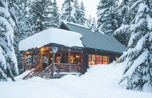 Marshall Cabin - Meredith Lodging - Foto 42