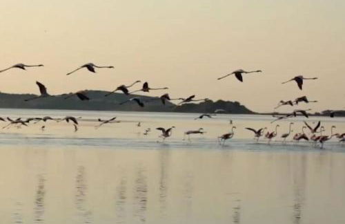 Gîte « domaine de l’oustal nau » - Foto 38