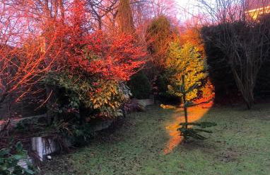 SANDYVIEWS - Foto 23