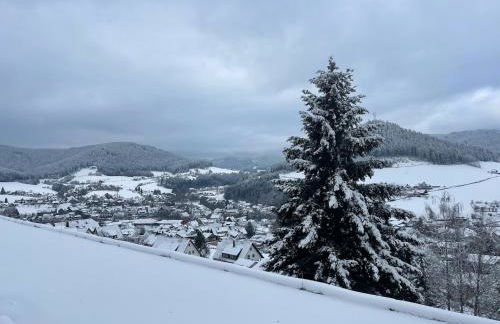 Studio Tonbachblick Baiersbronn - Photo 30