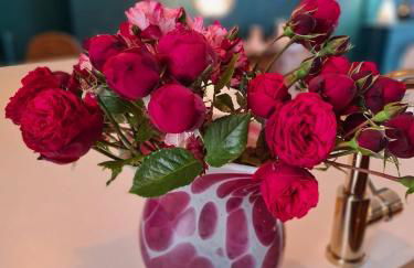 85 l idéal , quiet charm in Tours - Foto 24