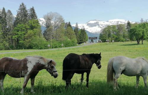 Châlet CARIBOU 74 avec Piscine Chauffée - Foto 20