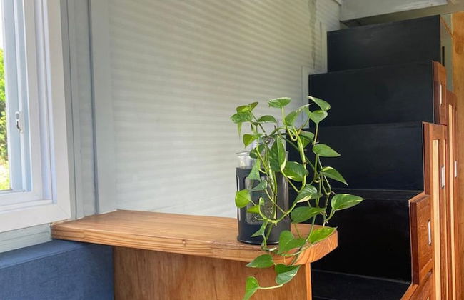 Tinyland Paradise - Garopaba - SC - Foto 12