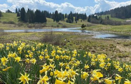 L'aube de Vouglans 2 Personnes - Foto 8