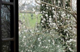 GiuMa Tuscany Historic Lux Farmhouse near Saturnia Hot Springs - Foto 51