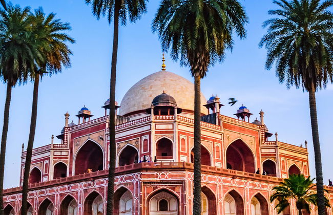 Lotus and Akshardham Temples, Lodhi Garden and Humayun Tombs Private Tour - Photo 1