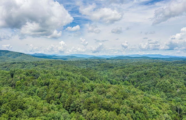 Treetop Oasis - Photo 39