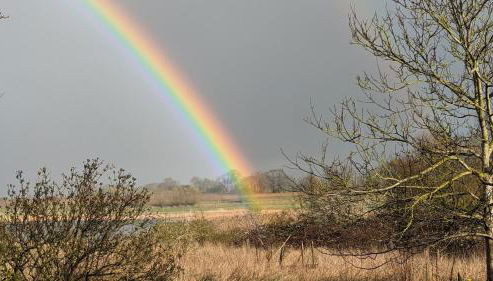 Ferienwohnung in der Uckermark - Photo 3