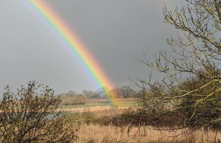 Ferienwohnung in der Uckermark - Photo 3