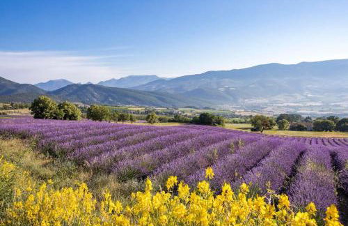 Piscine et villa tout confort au cœur des Alpilles - Photo 16
