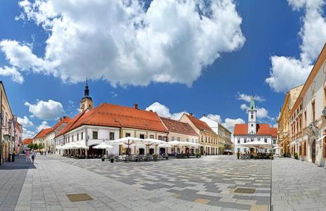 Holiday Home Beretinec Hills - Foto 46