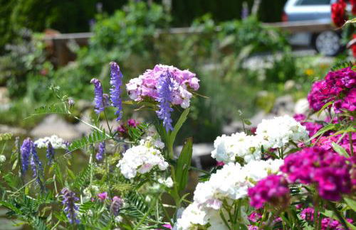 Häuslerhof - Foto 42