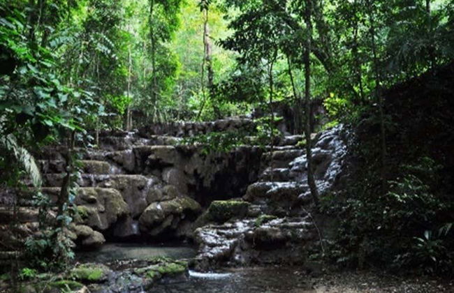 Tour privato del sito archeologico di Palenque - Foto 8
