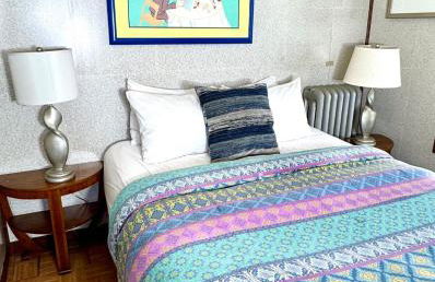 Sleep with a Lion!! 6 bedroom house, near downtown, Ohio city Tremont! - Foto 10