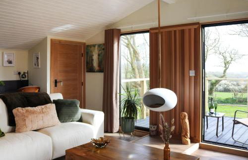 Gwdihŵ - Uk45625 - Foto 6