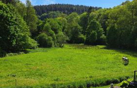 EL MIRADOR - Ferienwohnung Nähe Nürburgring - Eifel - Ahr - Rhein - RENOVIERT - Foto 1